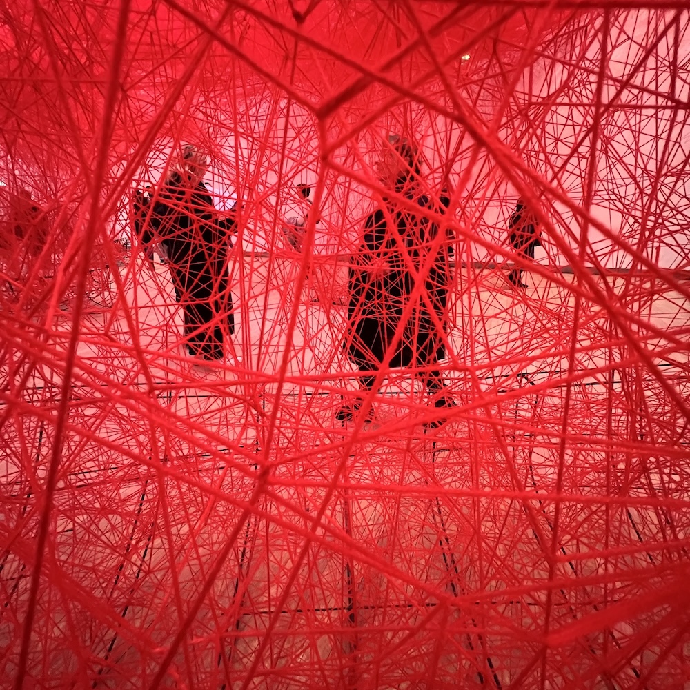 Photo d'une œuvre de Shiharu Shiota, Grand Palais, Paris, janvier 2025. ©Slykell