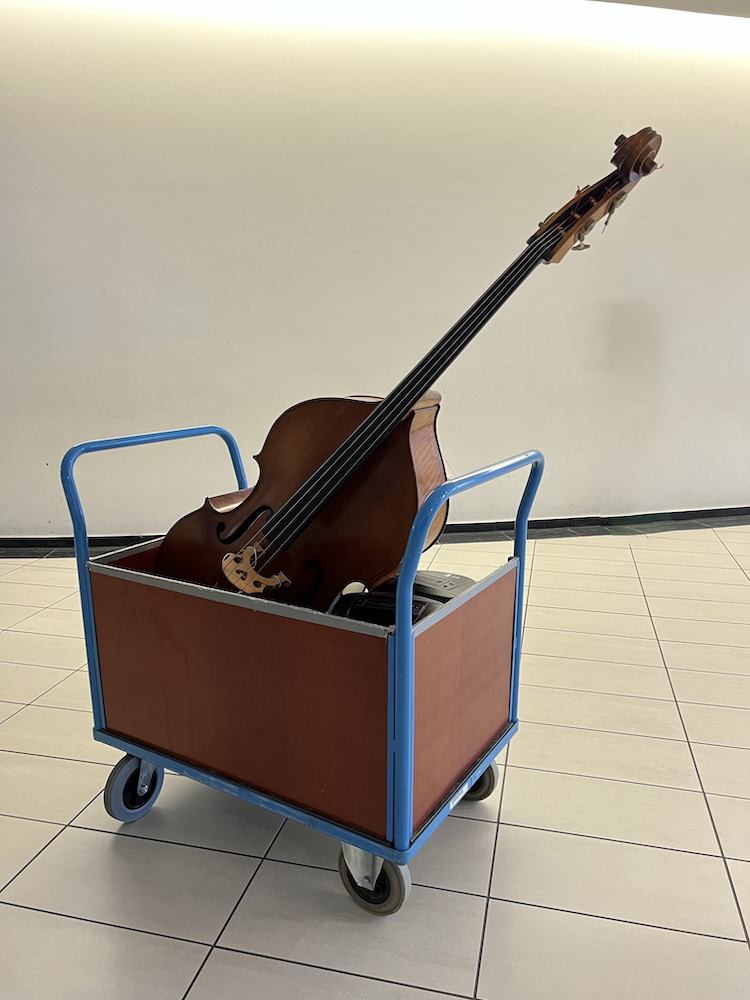 Contrebasse Conservatoire de Strasbourg