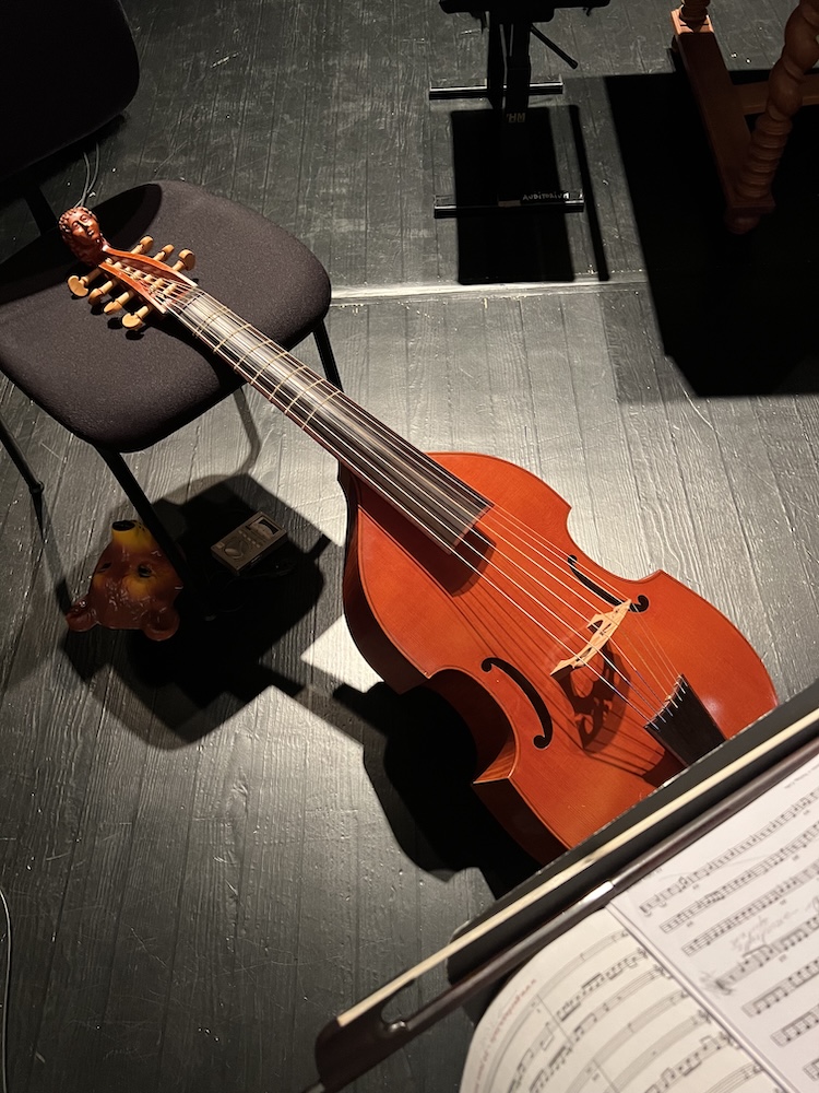 viole Conservatoire de Strasbourg ©Slykell